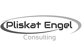 Logo of the company Pliskat Engel Consulting